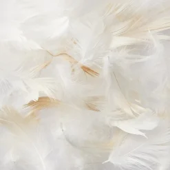 Sale Muji Oreiller en plumes  43 x 63 cm